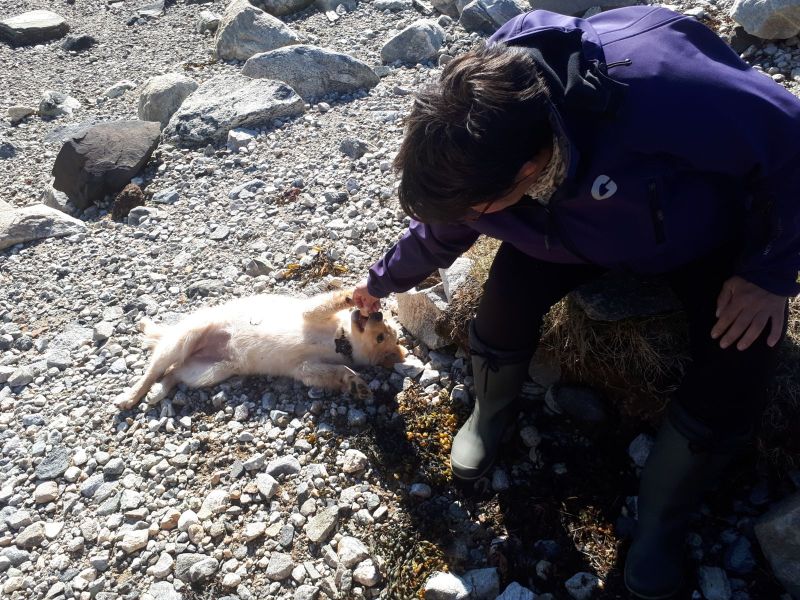 2020-07-11-1748_Anna-Hessler-Labansen-Emily_5