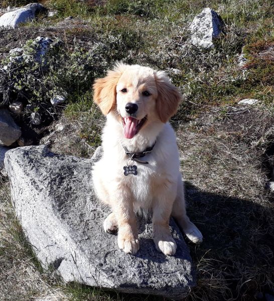 2020-07-11-1755_Emily