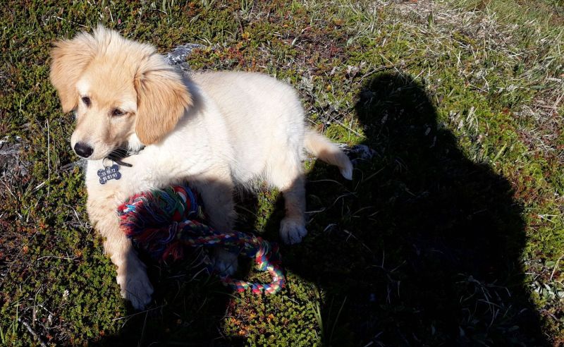 2020-07-11-1817_Emily