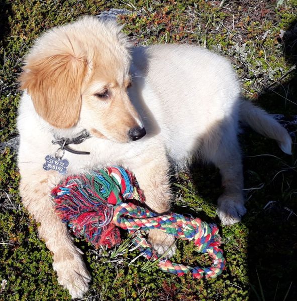 2020-07-11-1817_Emily_2