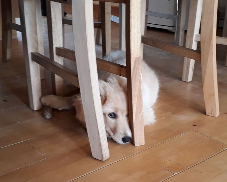 2020-07-12-1452_Emily