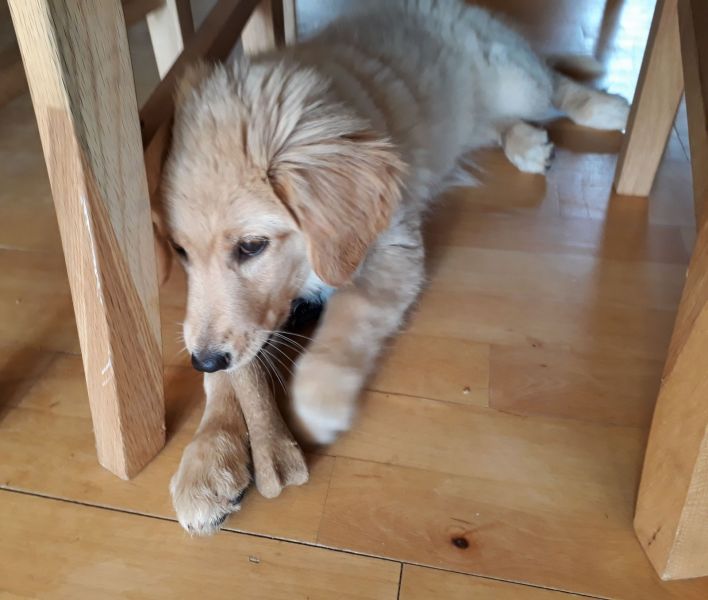 2020-07-12-1454_Emily