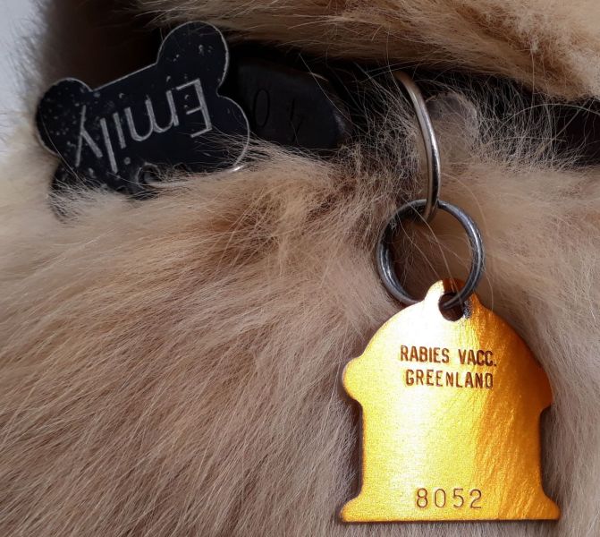 Emily's rabies vacinationsmærke