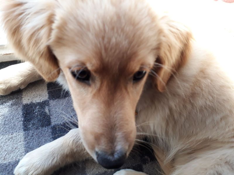 2020-07-14-1721_Emily