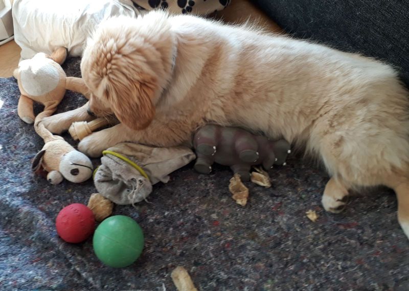 2020-07-14-1805_Emily