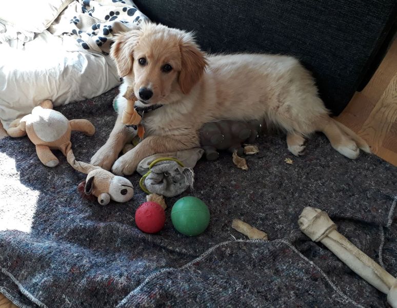 2020-07-14-1806_Emily