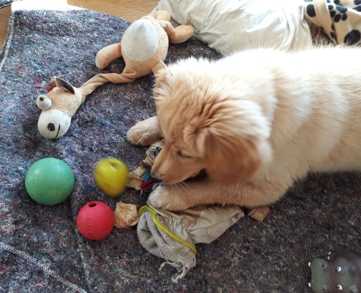 2020-07-14-1845_Emily