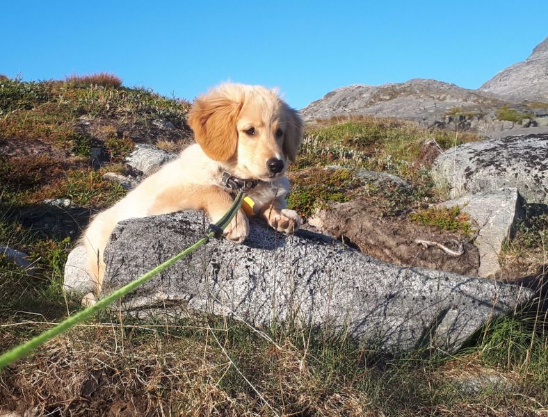 2020-07-14-2032_Emily