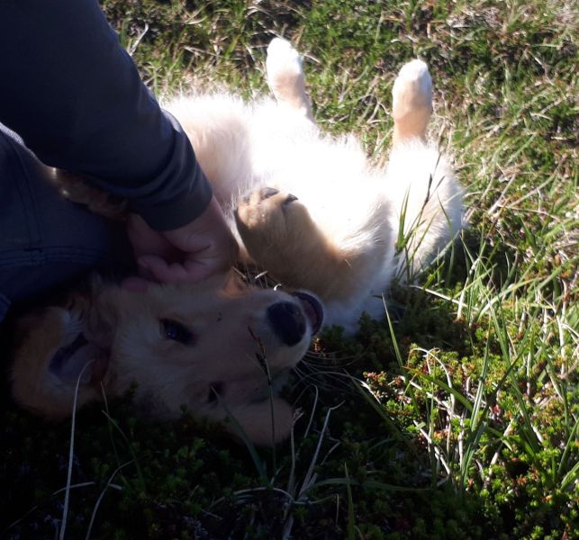 2020-07-16-1422_Emily