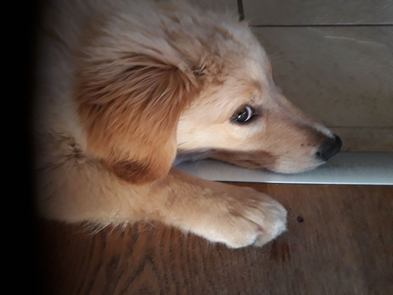 2020-07-17-2216_Emily