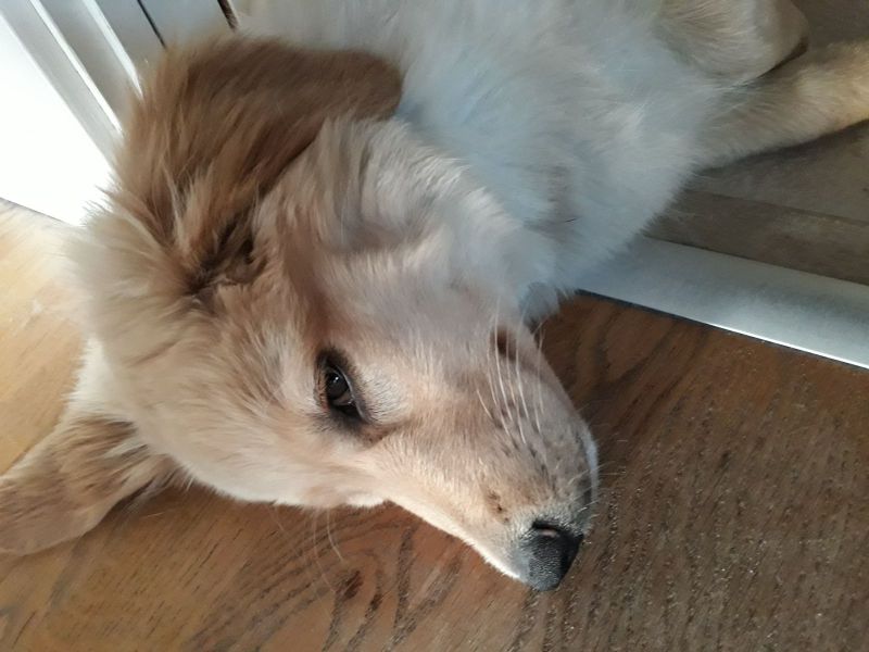 2020-07-17-2224_Emily