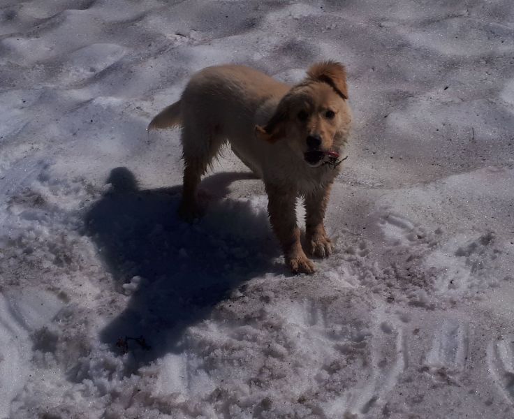 Martha's 70 års fødselsdag