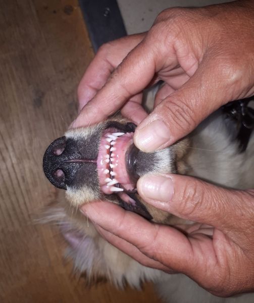 2020-07-20-1930_Emily