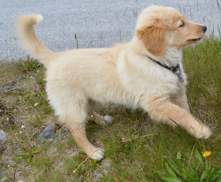 Emily møder 2 af sine søskende Marley og Naala