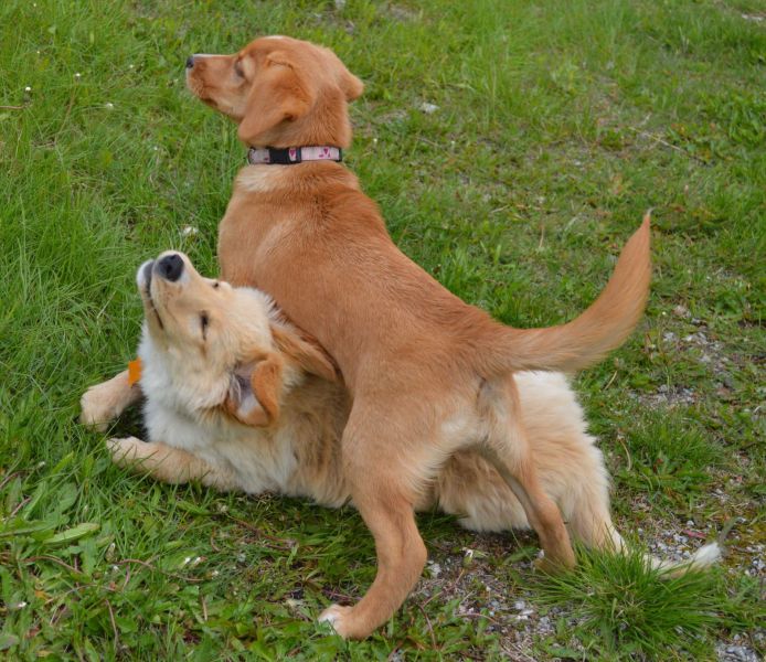 Emily møder 2 af sine søskende Marley og Naala