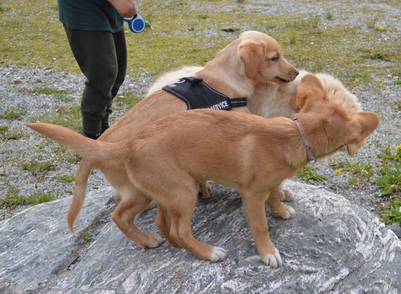 Emily møder 2 af sine søskende Marley og Naala