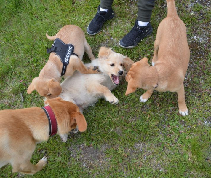Emily møder 2 af sine søskende Marley og Naala