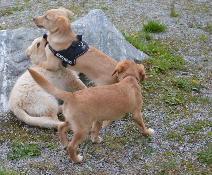 Emily møder 2 af sine søskende Marley og Naala