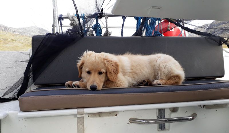 2020-07-24-1828_Emily