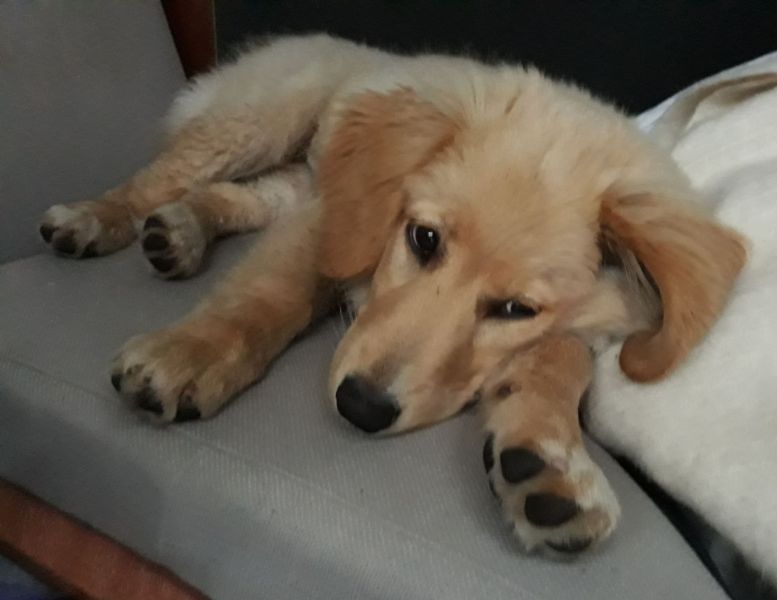 2020-07-24-2144_Emily