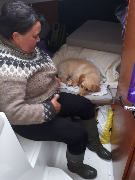 2020-07-25-1130_Anna-Hessler-Labansen-Emily