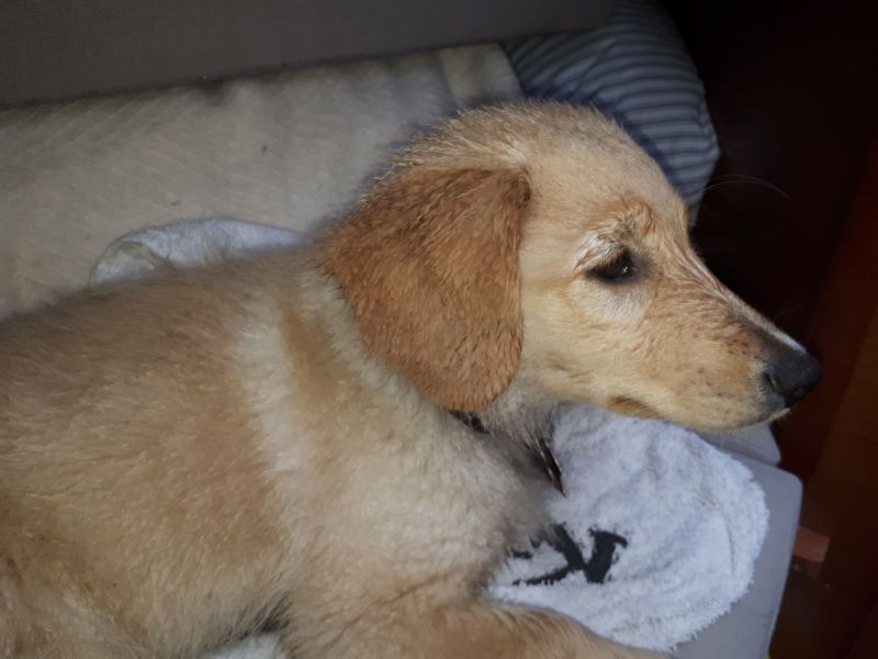 2020-07-25-1130_Emily