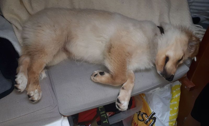 2020-07-25-1407_Emily