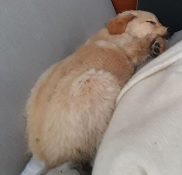 2020-07-25-1540_Emily