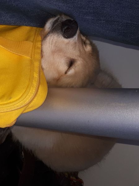 2020-07-25-1842_Emily