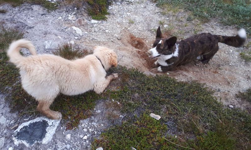 2020-07-27-19.58.34-1-2