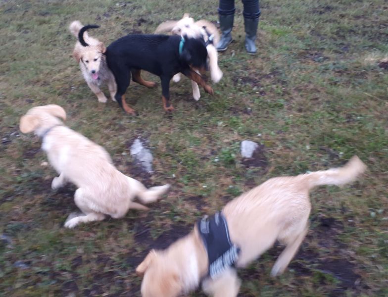 2020-07-28-1953_Emily-Herberth-Tyson