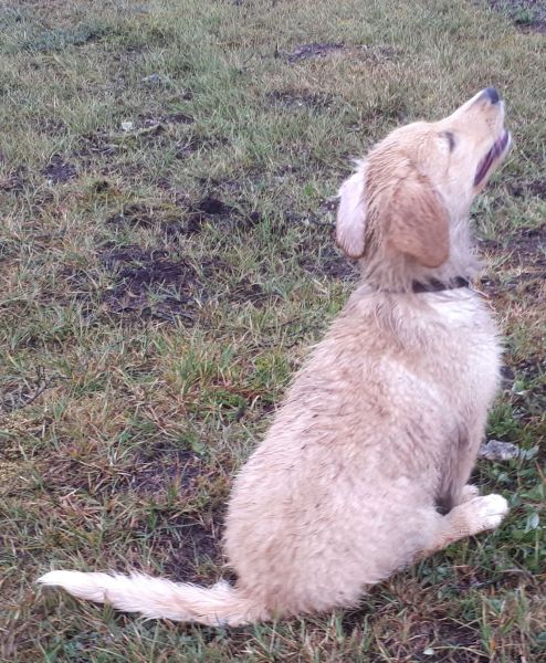 2020-07-28-1953_Emily