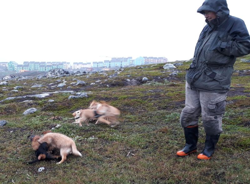 2020-07-28-1956_Emily-Søren-Labansen-Tyson