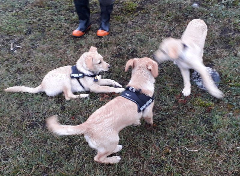 2020-07-28-1956_Herberth-Marley-Nico