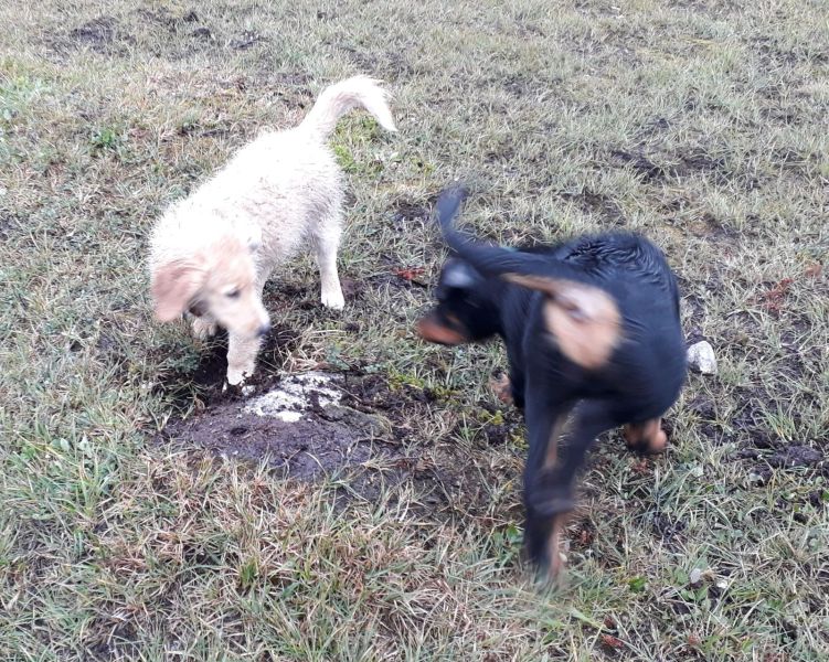 2020-07-28-2000_Emily-Tyson