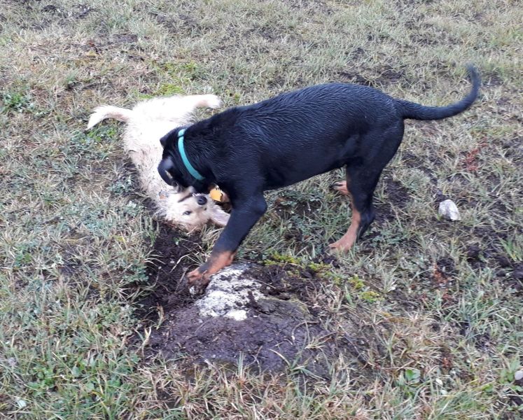 2020-07-28-2000_Emily-Tyson_2