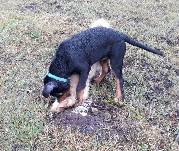 2020-07-28-2000_Emily-Tyson_3