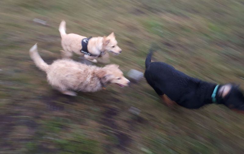 2020-07-28-2002_Emily-Tyson