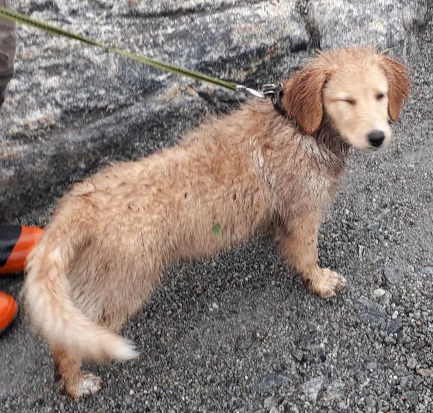 2020-07-28-2007_Emily