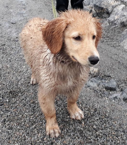 2020-07-28-2007_Emily_2