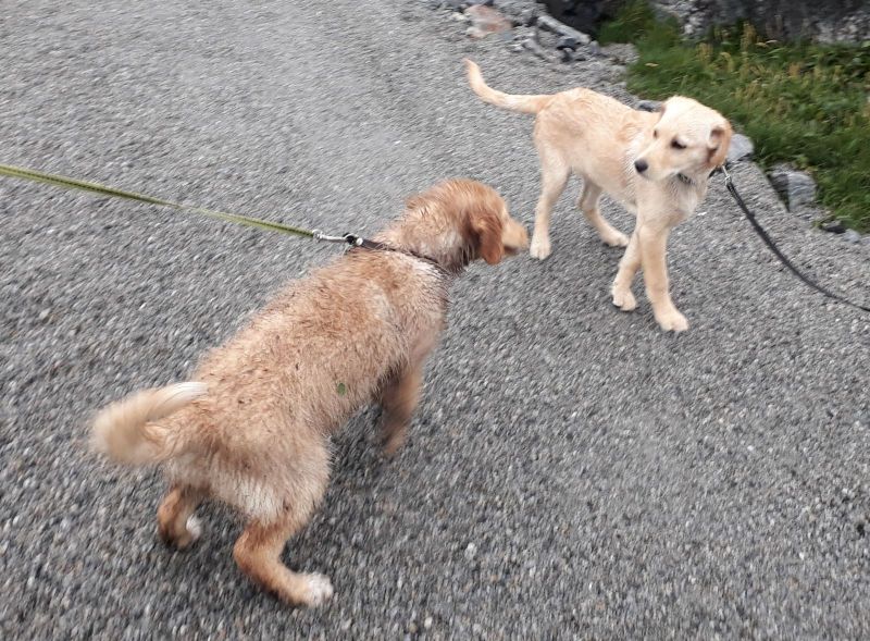 2020-07-28-2008_Emily-Herberth