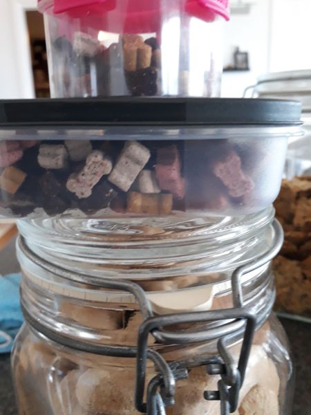 2020-08-01-1228_Hundegodter