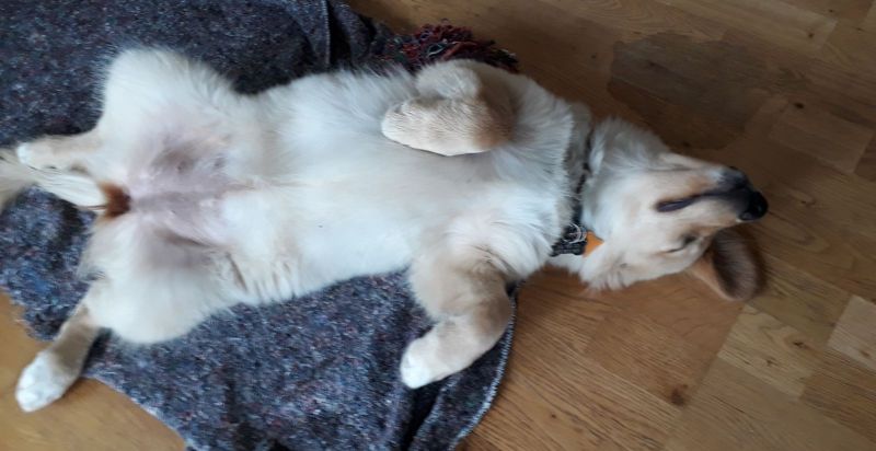 2020-08-01-1258_Emily