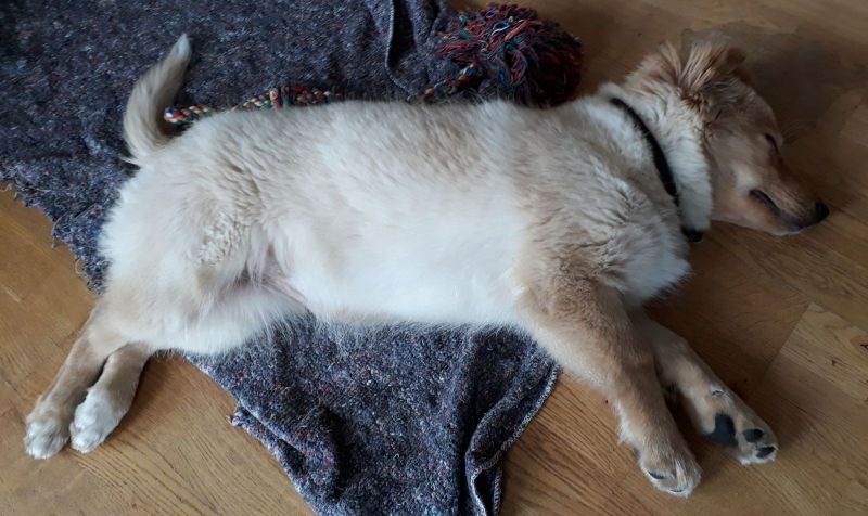 2020-08-01-1259_Emily