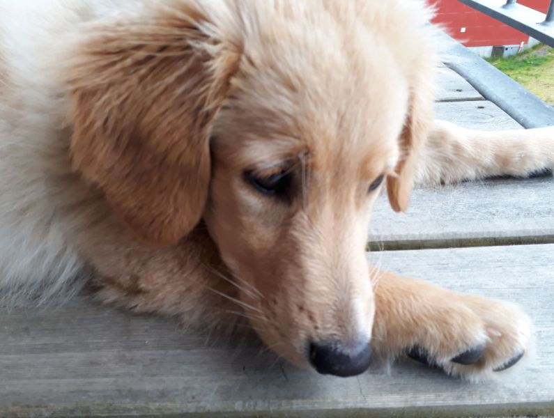 2020-08-01-1306_Emily