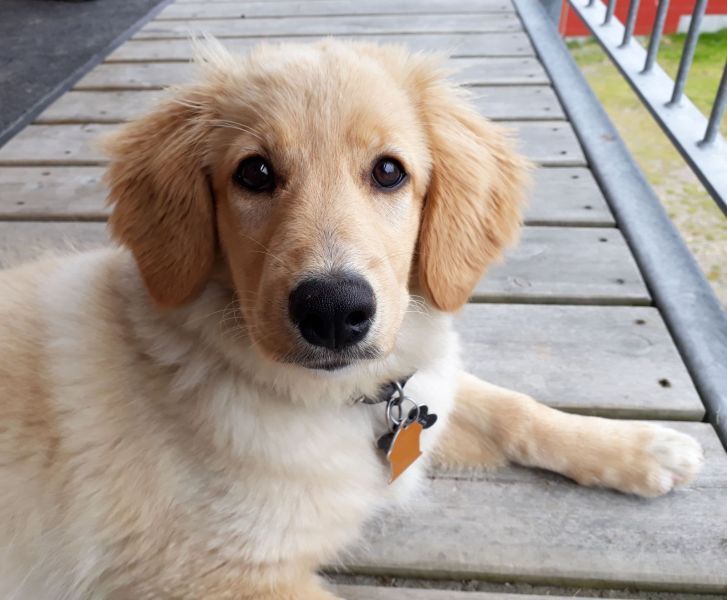 2020-08-01-1307_Emily