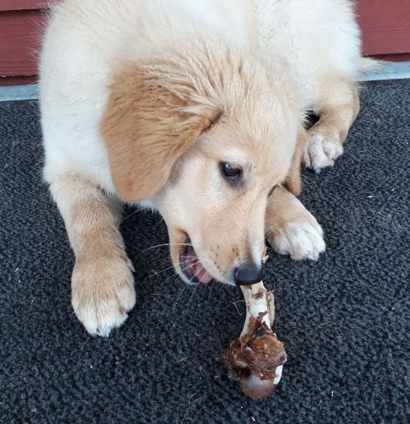 2020-08-01-1338_Emily