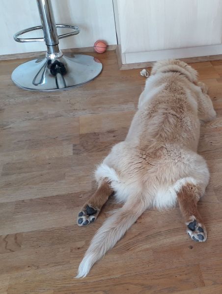 2020-08-03-1651_Bedste_2-Emily