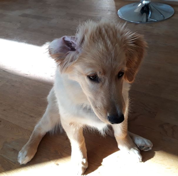 2020-08-03-1809_Emily