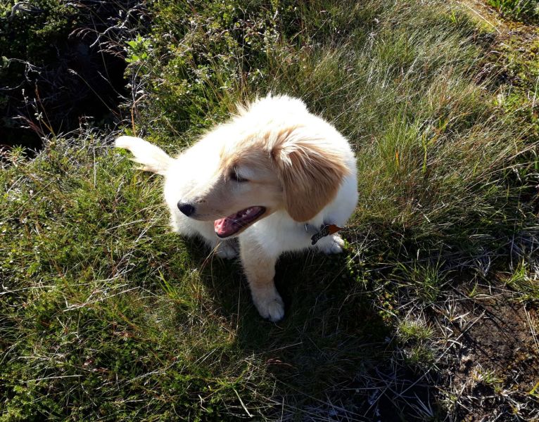 2020-08-03-1842_Emily